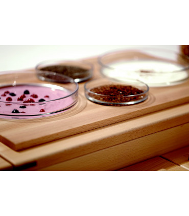 Set de système de buffet GLS4 Réf. 500730 BARTSCHER