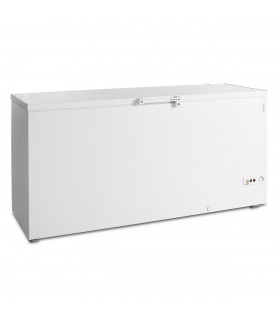 Congélateur coffre Réf. FR605 Tefcold