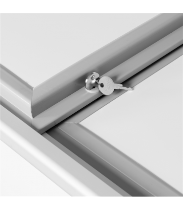 Réfrigérateur coffre Réf. USS300SD Tefcold