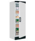 Congélateurs de stockage Réf. UFFS371SD Tefcold