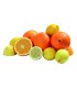 Presse-agrume Joy Bartscher Gabarit fruits
