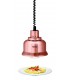 Lampe chauffante IWL250D KU Réf. 114274 BARTSCHER Lampe chauffante IWL250D KU Réf. 114274 BARTSCHER